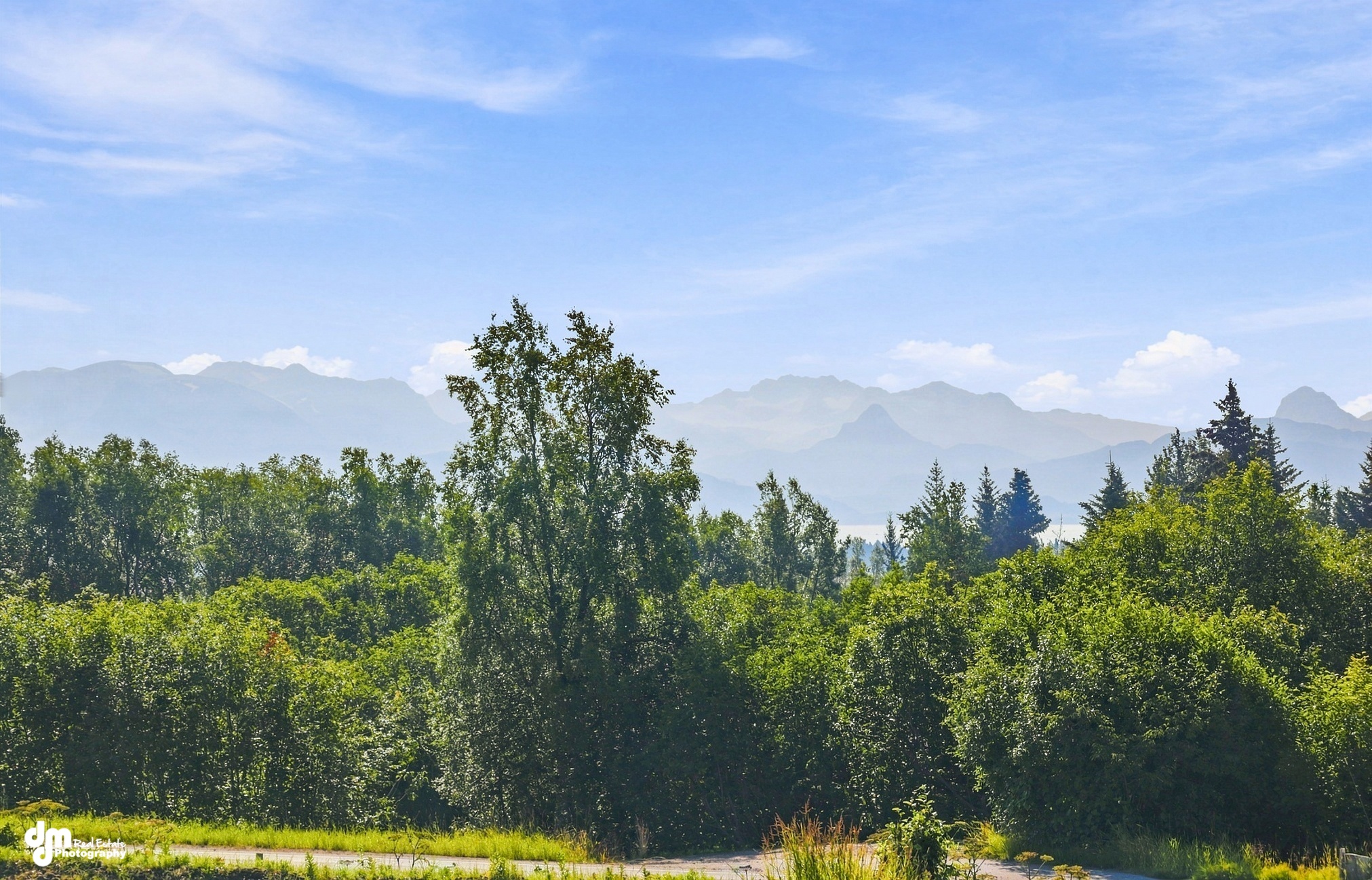 Kachemak Bay and mountains seen from the property